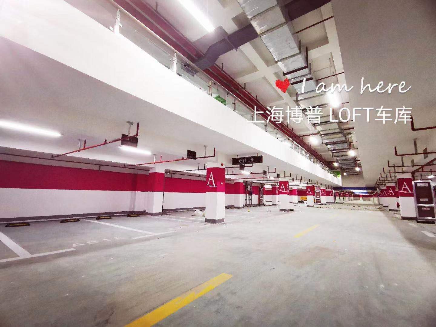 湖南已交竣的绿城豪华LOFT专利车库效果惊艳！